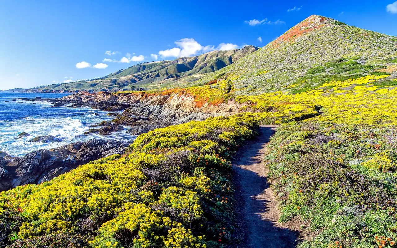 工业数字化